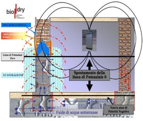 biodry processo